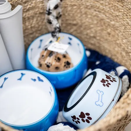 Apartment Active Montgo Flat