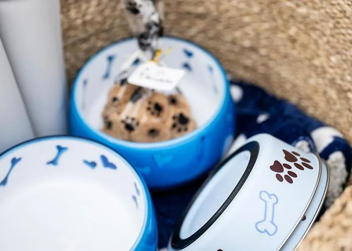 Lejlighed Active Montgo Flat